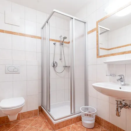 Feriengut Fingerhof Apartment Flachau