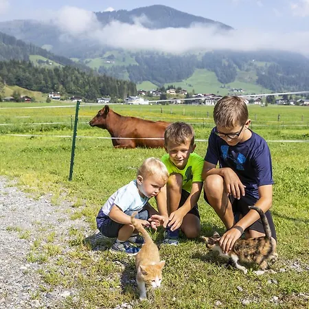 Feriengut Fingerhof Flachau
