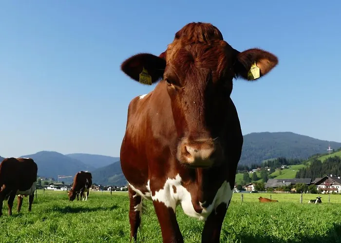 Feriengut Fingerhof Διαμέρισμα *