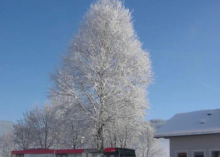 Διαμέρισμα Feriengut Fingerhof *