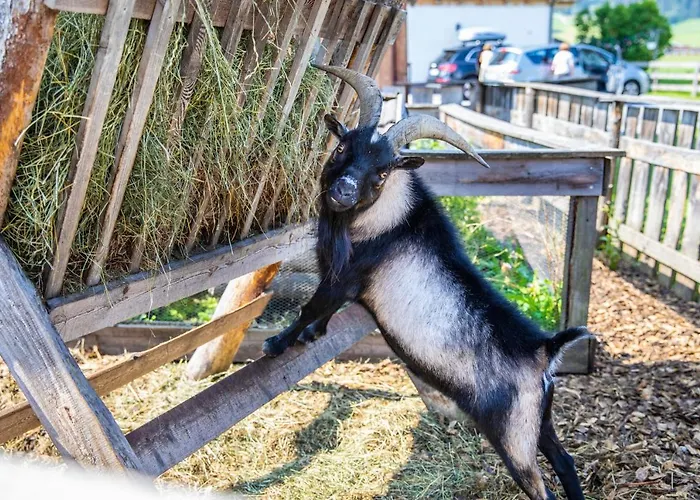 Feriengut Fingerhof Διαμέρισμα Φλαχάου