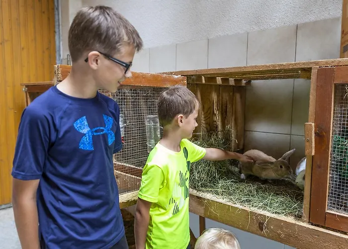 Feriengut Fingerhof Φλαχάου